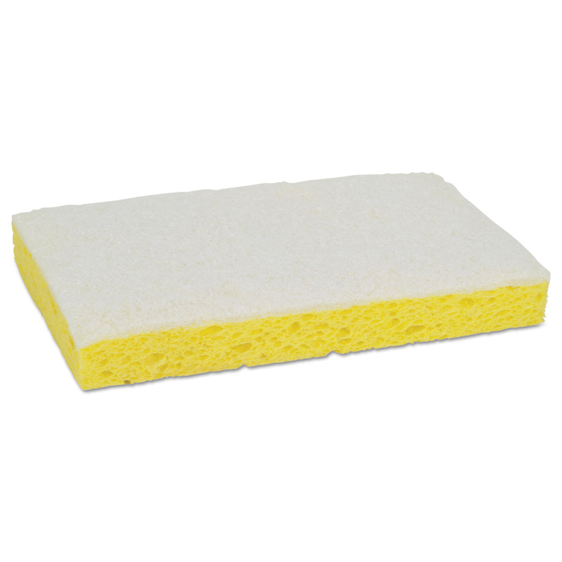 Scotch-Brite Light-Duty Scrubbing Sponge,