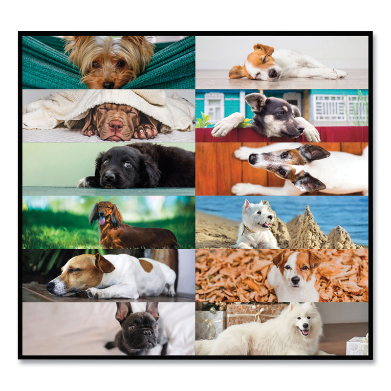 Blueline Pets Collection Monthly Desk Pad, Puppies Photography, 22 x 17, Black Binding, Clear Corners, 12-Month (Jan to Dec): 2023