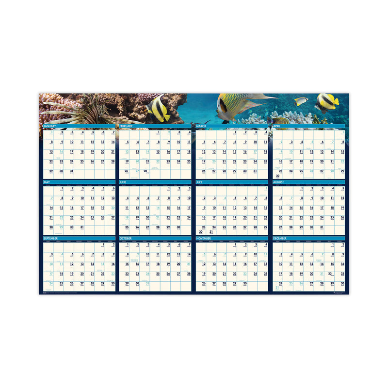 House of Doolittle Earthscapes Recycled Reversible/Erasable Yearly Wall Calendar, Sea Life Photos, 24 x 37, White Sheets, 12-Month(Jan-Dec):2023