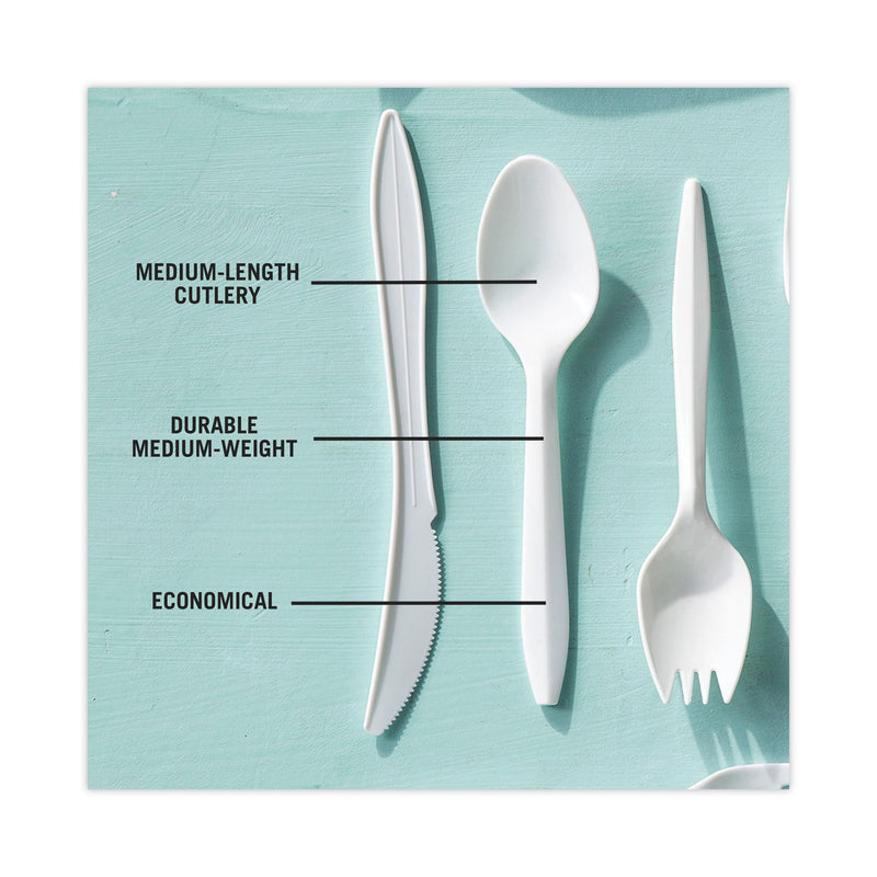 Pactiv Evergreen Fieldware Cutlery, Spoon, Mediumweight, White, 1,000/Carton