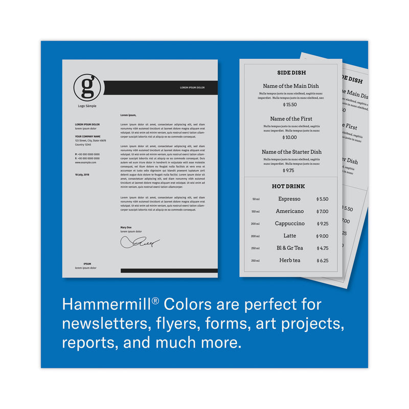 Hammermill Colors Print Paper, 20 lb Bond Weight, 8.5 x 11, Gray, 500 Sheets/Ream, 10 Reams/Carton