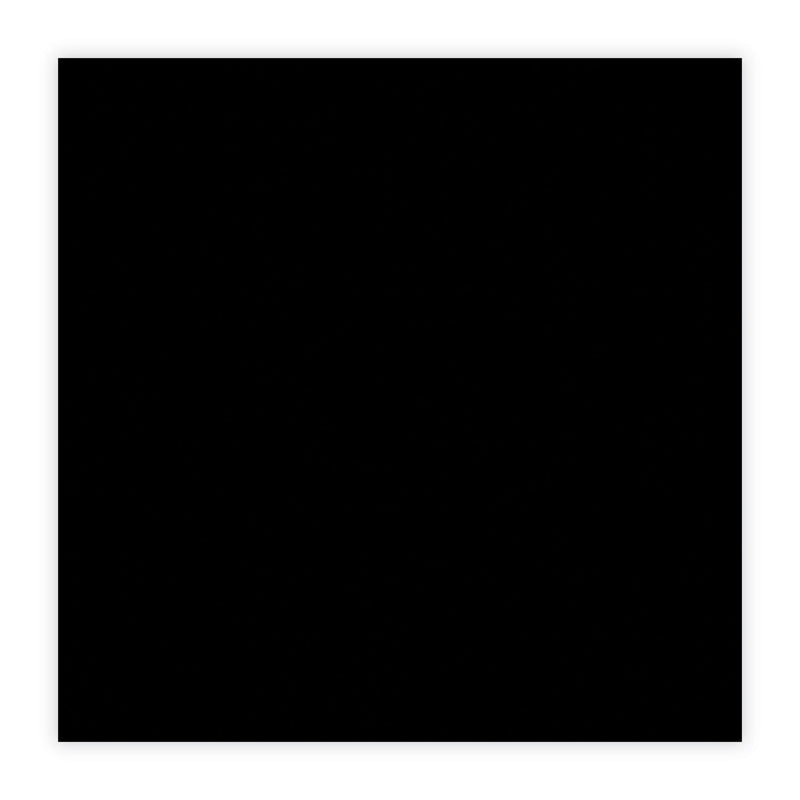Paper Mate Mirado Black Warrior Pencil, HB (